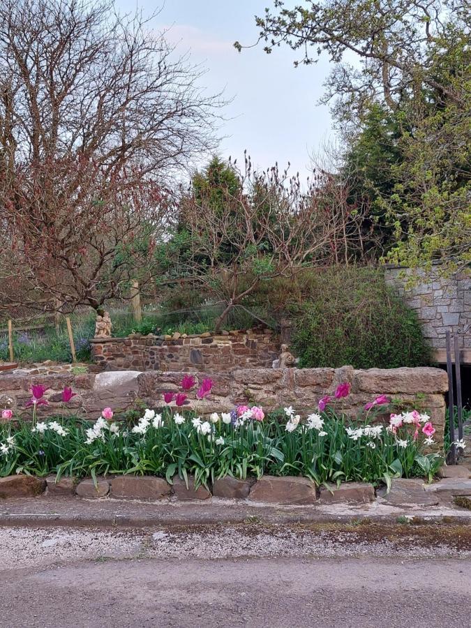 The Millers Cottage Okehampton Buitenkant foto