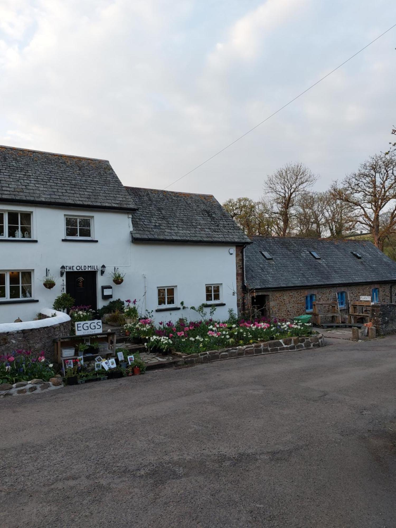 The Millers Cottage Okehampton Buitenkant foto