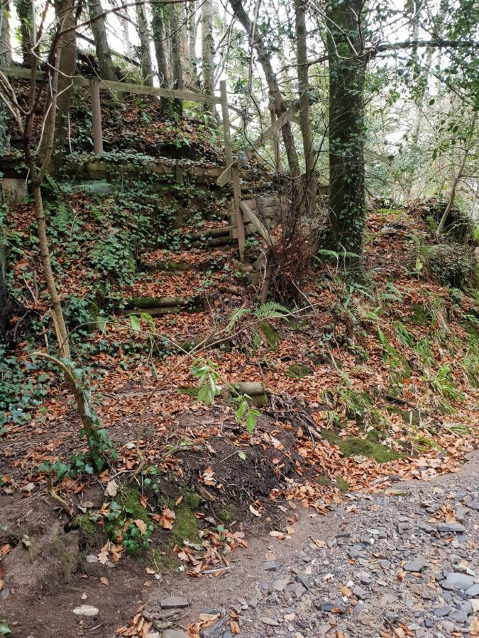 The Millers Cottage Okehampton Buitenkant foto