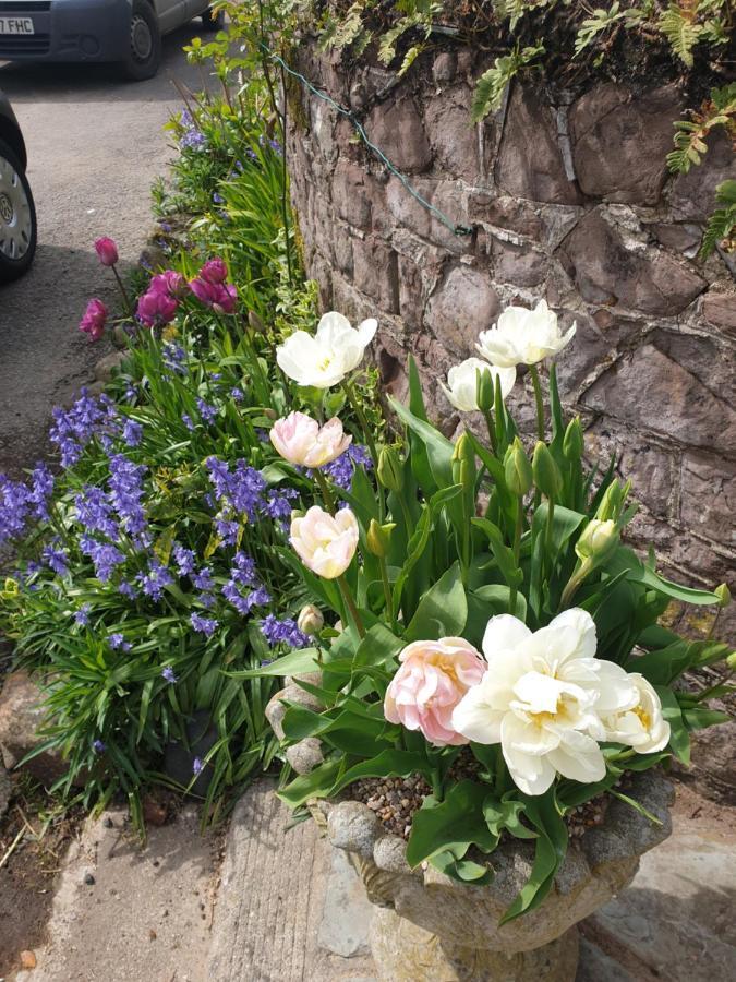 The Millers Cottage Okehampton Buitenkant foto